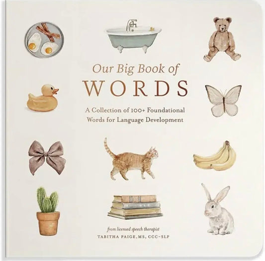 Our Big Book of First Words