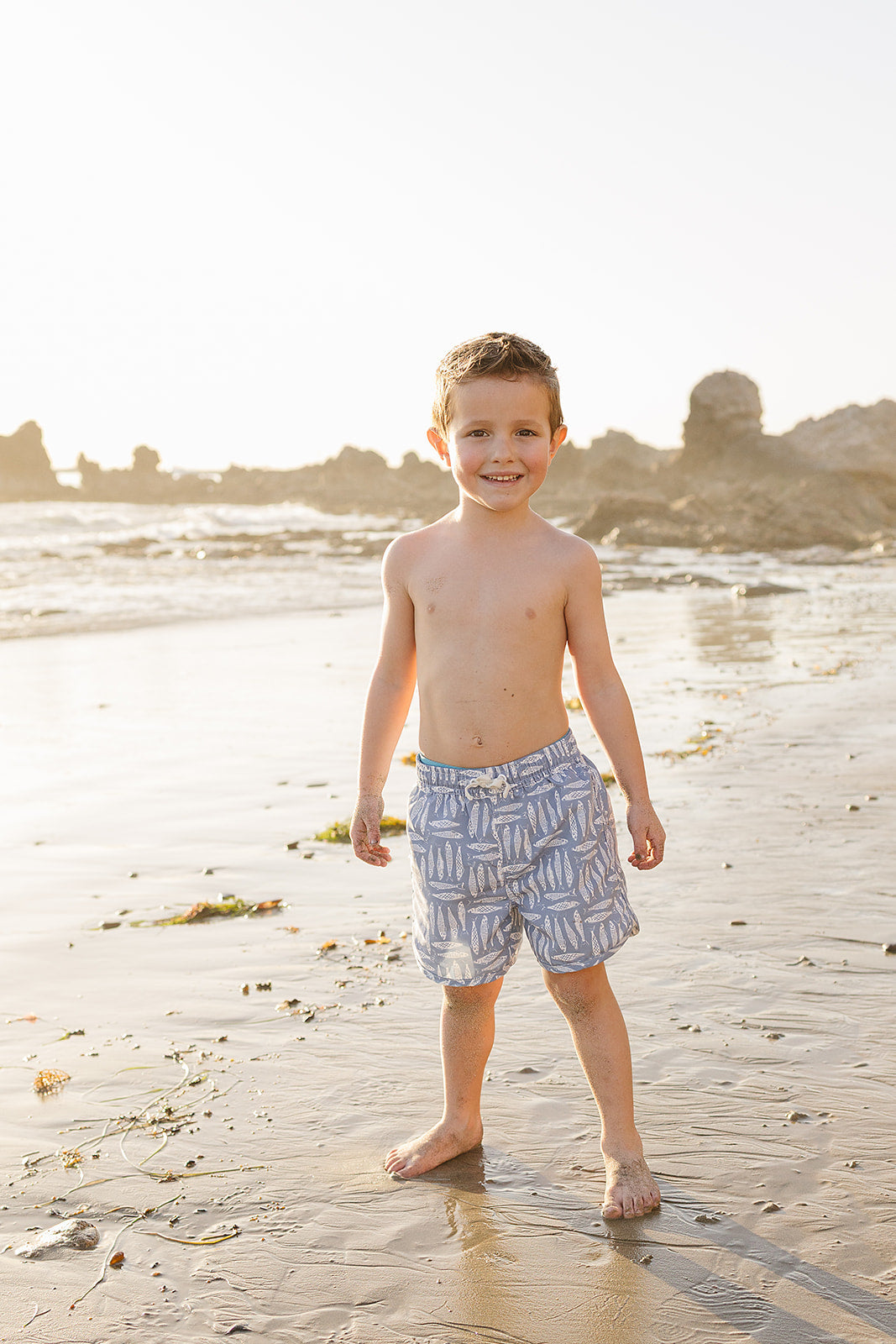 Sardine Swim Shorts