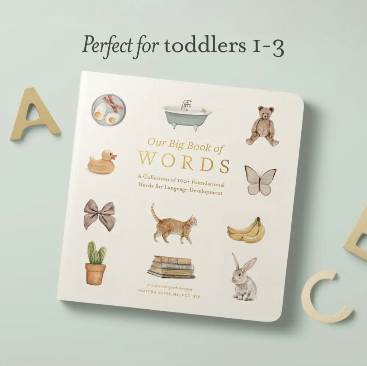 Our Big Book of First Words