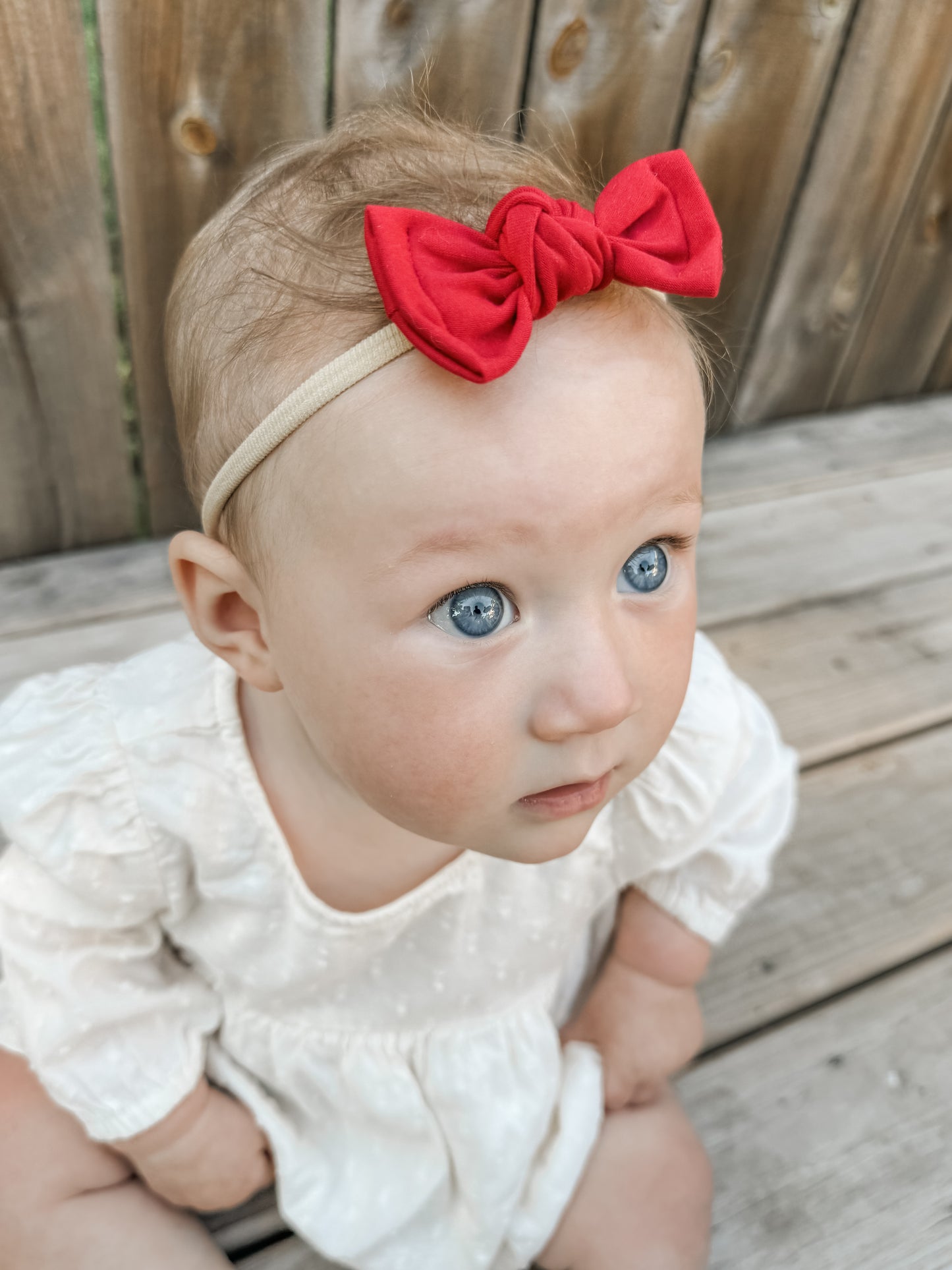 Firecracker Classic Bow