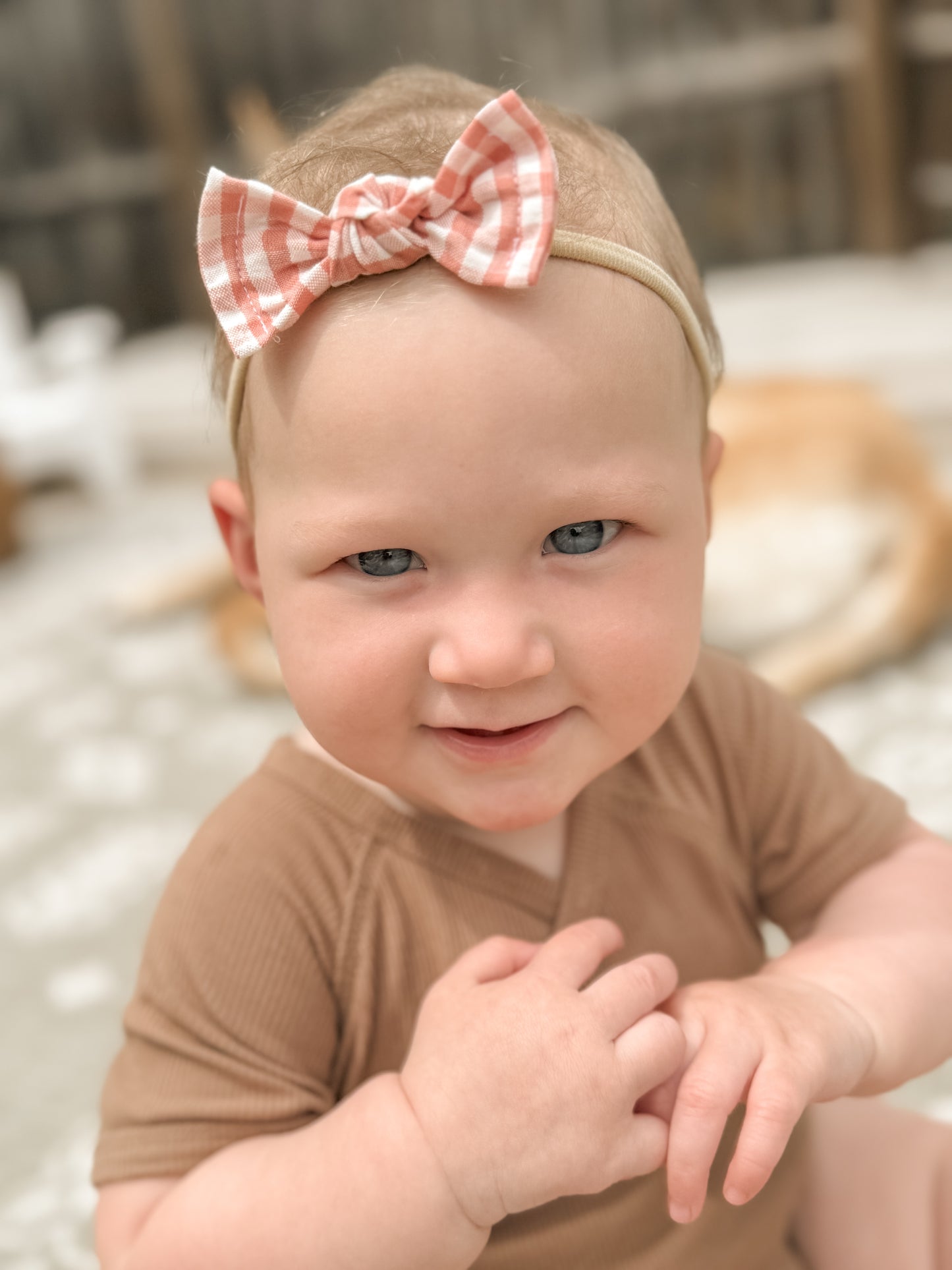 Summer Coral Gingham Classic Bow